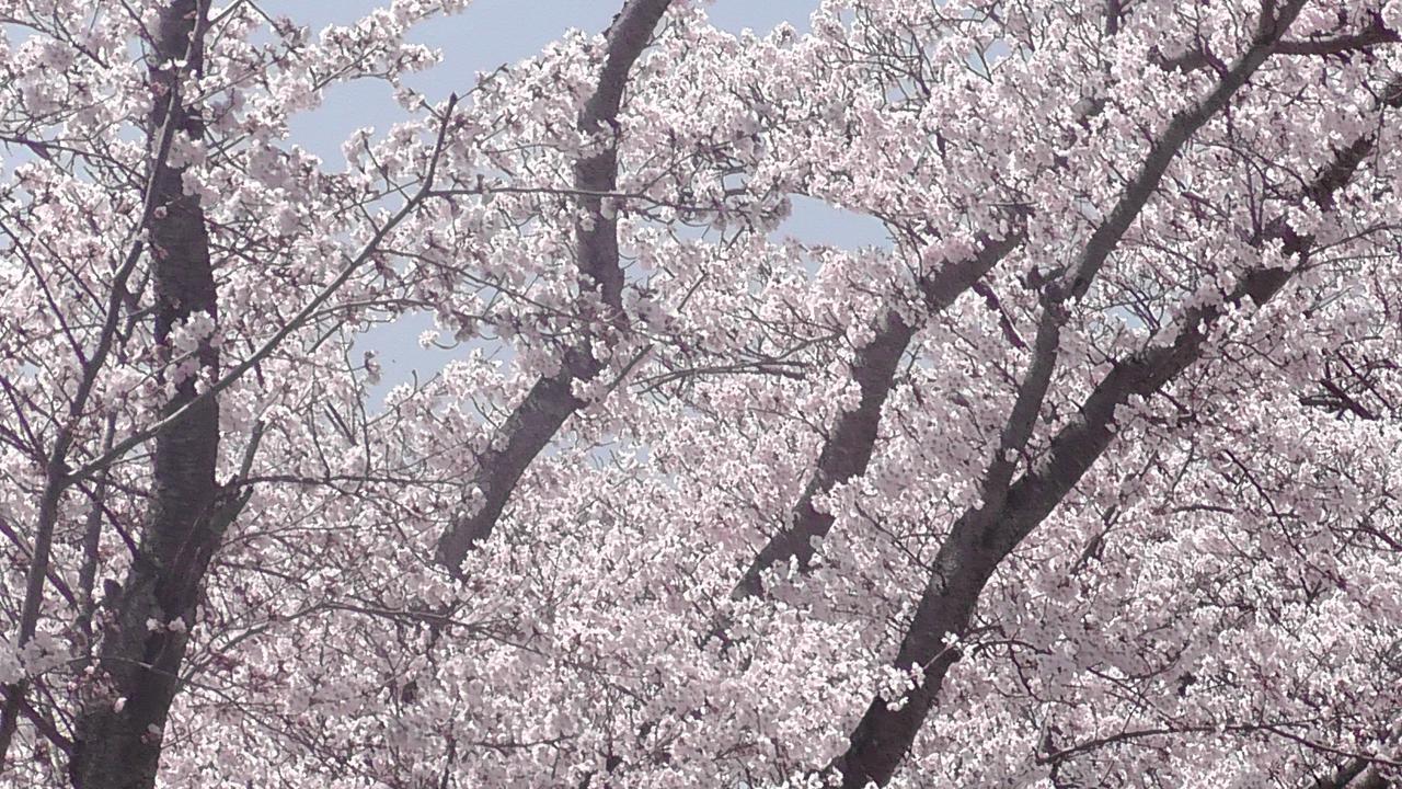 ホテル 日光園 Nishiwaki エクステリア 写真