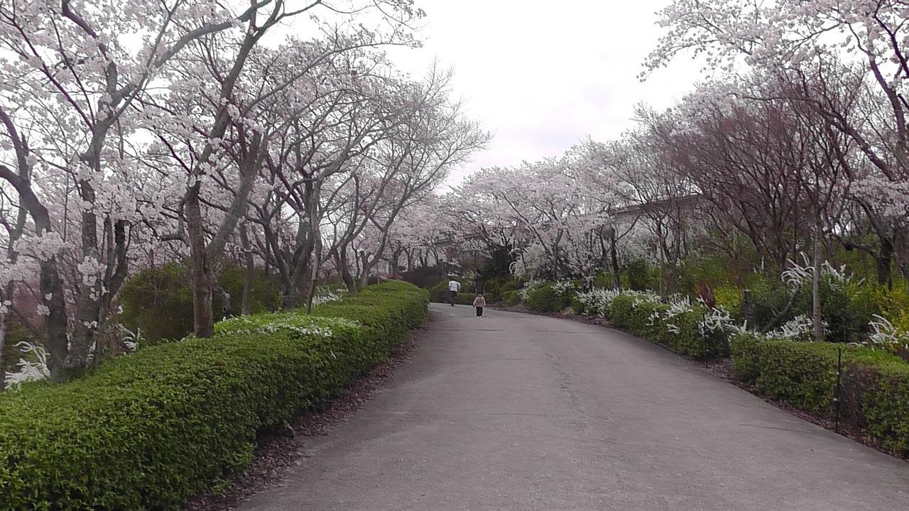 ホテル 日光園 Nishiwaki エクステリア 写真