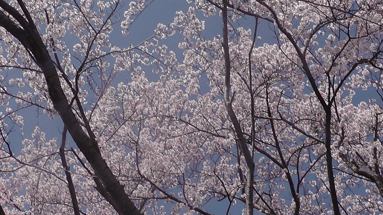 ホテル 日光園 Nishiwaki エクステリア 写真